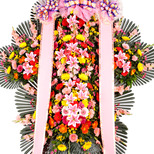 축하화환 5단 럭셔리