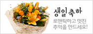 생일축하