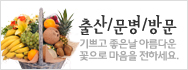 출산/문병/방문