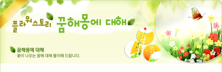 꿈해몽
